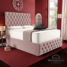 Pink Plush Velvet